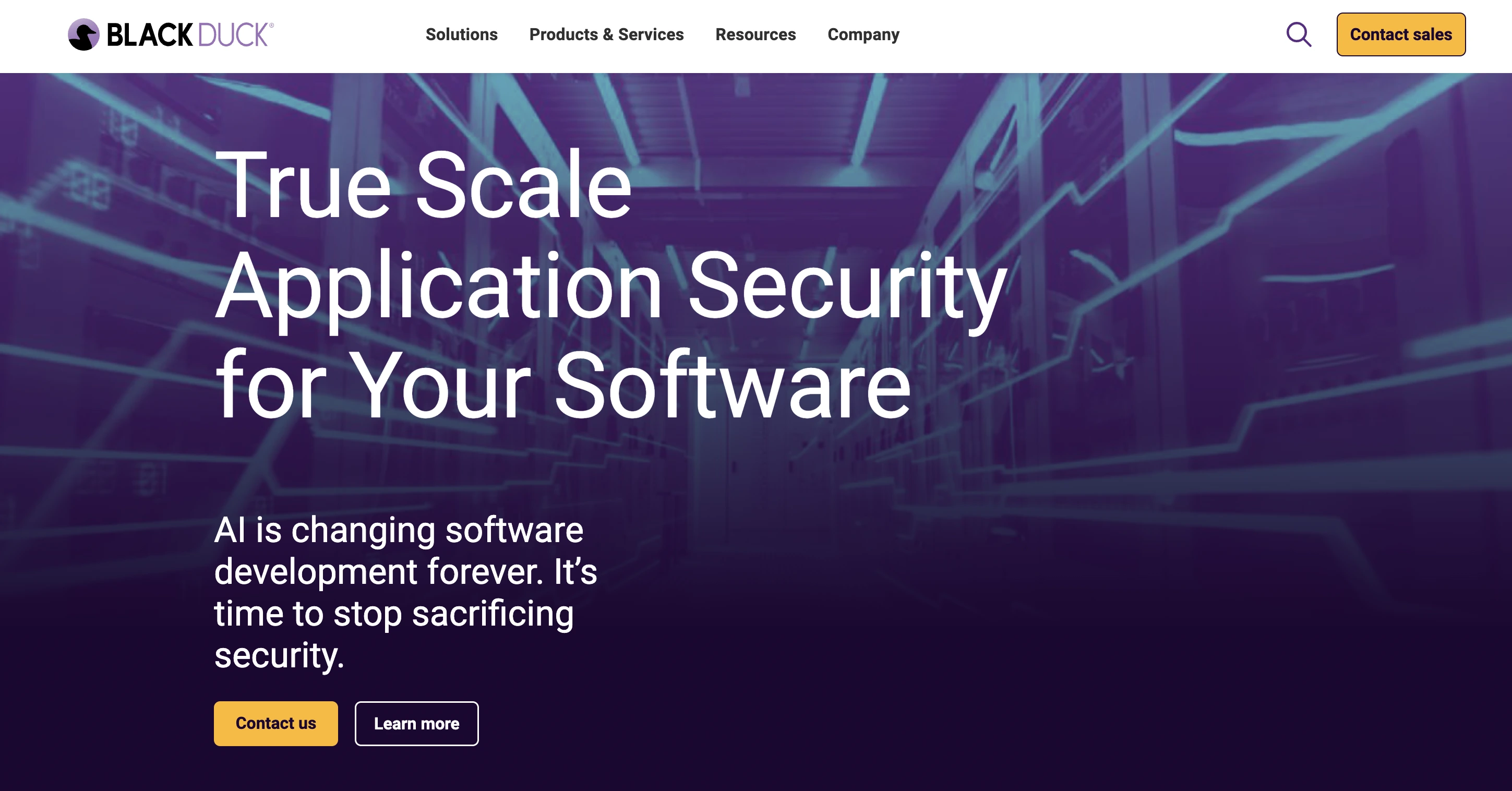 blackduck - sca tool